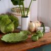 Lettuce Ware Crudité Tabak Lettuce Ware Crudité Tabak
