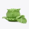 Lettuce Ware Kapaklı Çorba Kasesi