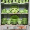 Lettuce Ware Servis Kasesi