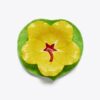 Lily Pad Kase ve Tabak Seti