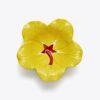 Lily Pad Kase ve Tabak Seti