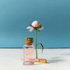 Signature Eau De Parfum Rollerball Cracker Signature Eau De Parfum Rollerball Cracker
